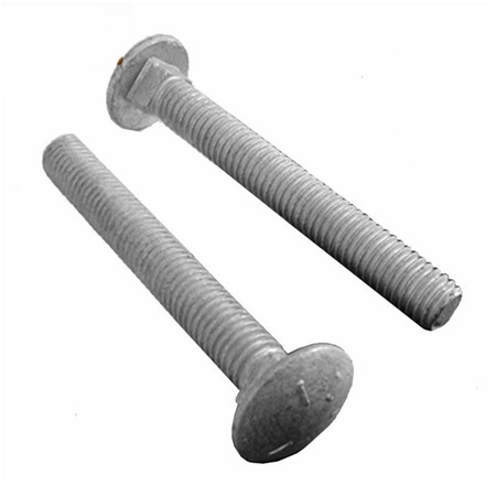 Șuruburi de forjare la cald piese standard din oțel inoxidabil 316 / 316L șuruburi pentru gât cu gât lung